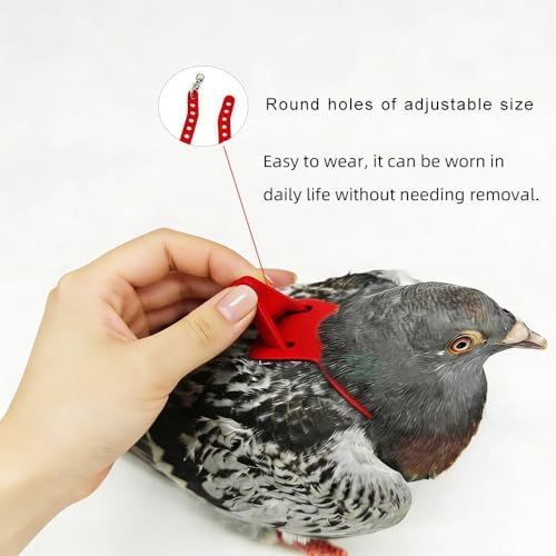 JNCWYP red medium bird harness package with elastic safety rope.
