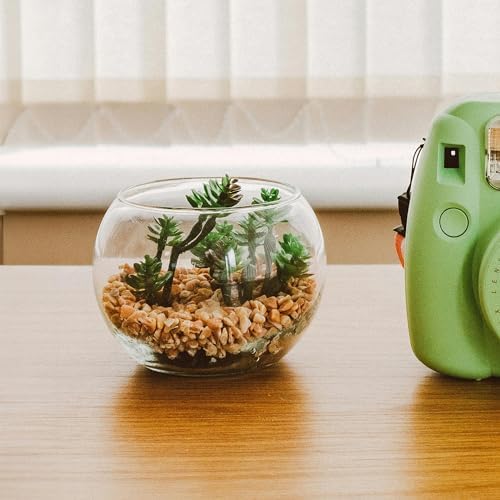 Aquarium gravel used as decorative terrarium substrate