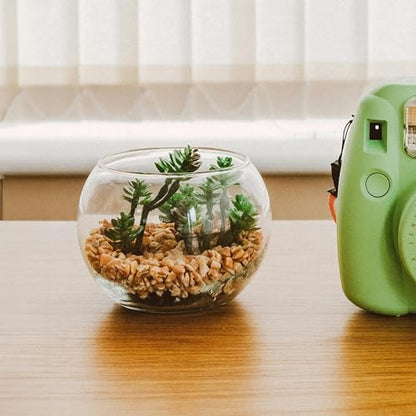 Aquarium gravel used as decorative terrarium substrate