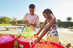 Vibrant multi color water balloons ready for a backyard family summer party.