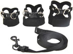 Retractable nylon lead connected to a leather bearded dragon chest harness vest
