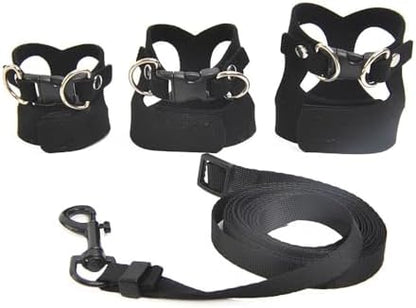 Retractable nylon lead connected to a leather bearded dragon chest harness vest