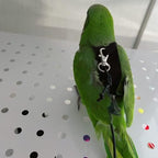 Barn Eleven bird flying clothes with rubber handle