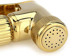 Lifestyle or bathroom context view of the installed gold bidet sprayer.