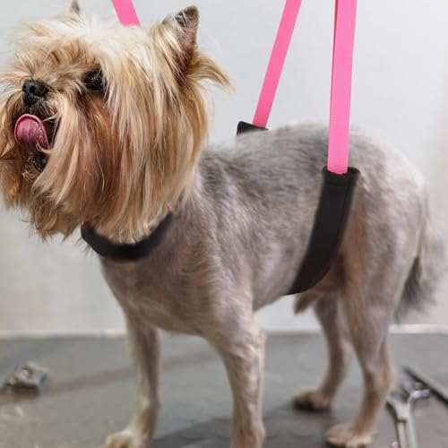 Violet padded dog belly support band for grooming