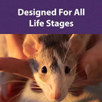Mazuri vegetarian rat food block shape closeup