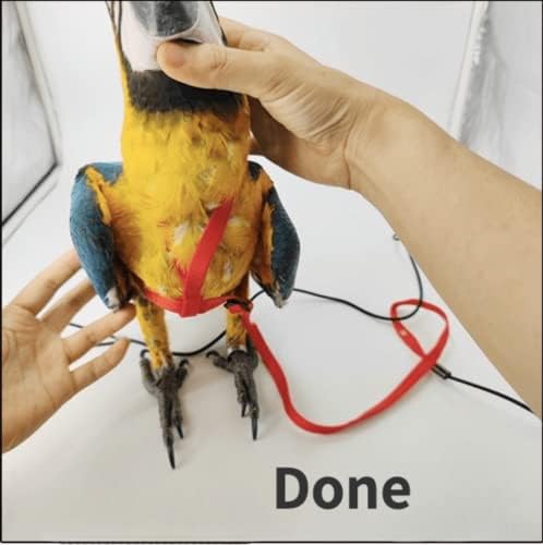 Outdoor flying training rope kit with metal chain detail