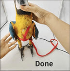 Outdoor flying training rope kit with metal chain detail