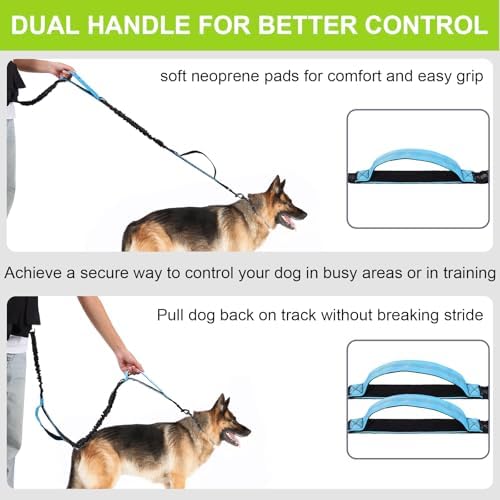 Yungaspy waist dog leash showing the heavy duty shock absorbing elastic extension