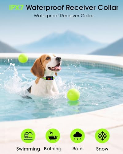 Full kit view of the long range imported vibrating dog collar system for pet training.