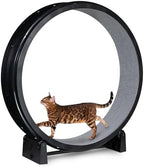 One Fast Cat Generation 7 black wheel with gray felt traction pads close up