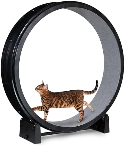 One Fast Cat Generation 7 black wheel with gray felt traction pads close up