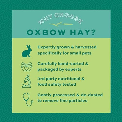 Oxbow all life stages orchard grass hay for chinchillas nutrition facts