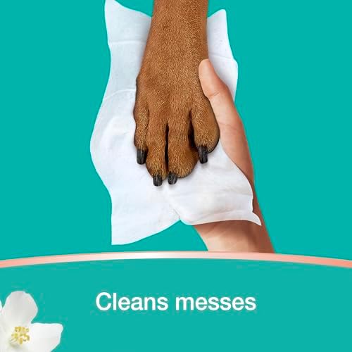 Close up view of Pampers zero percent alcohol and paraben free formula label