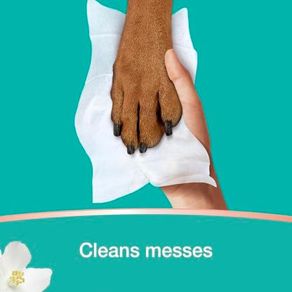 Close up view of Pampers zero percent alcohol and paraben free formula label