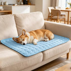 A pug resting comfortably on the blue Arc-Chill pet bed mat indoors
