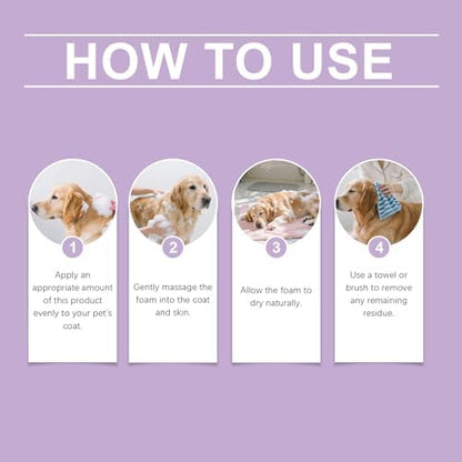 Grooming a fluffy cat using Hug n Wag dry bath cleanser