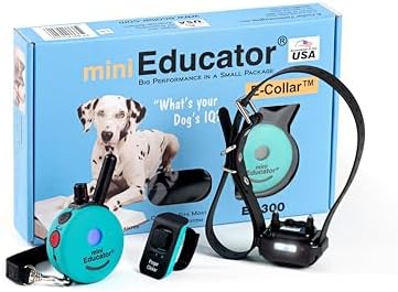 Mini Educator teal electronic dog collar with waterproof remote controller for pet training