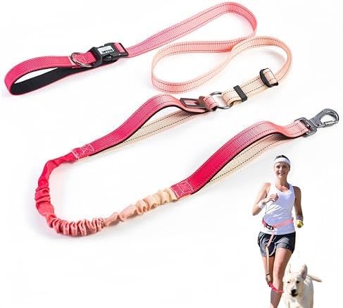 Jetog reflective waist leash showing adjustable belt