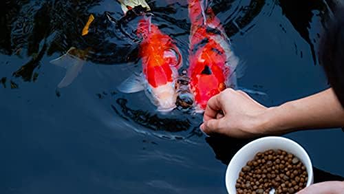 Authentic USA Sourced Fish Food Pack