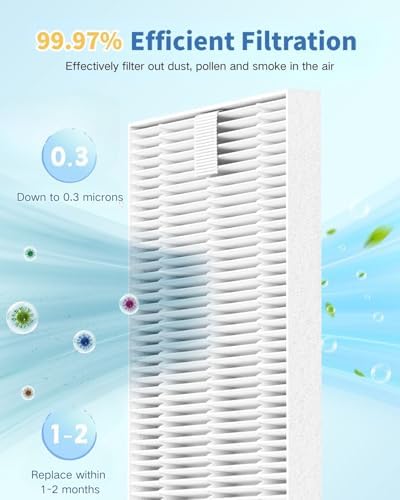 Set of 6 Wilerda filters in retail packaging