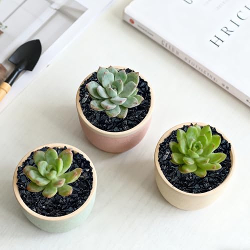 Natural tumbled black stones in a glass vase filler