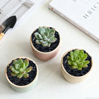Natural tumbled black stones in a glass vase filler