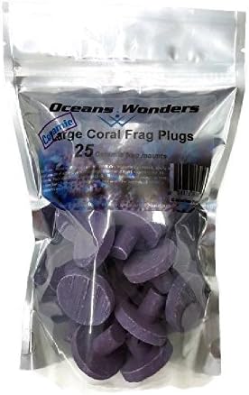 Oceans Wonders ceramic frag plugs showing textured crown surface