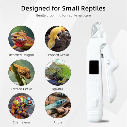Rechargeable small animal nail grinder perfect for chameleons turtles and geckos