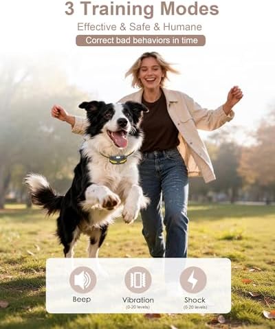 Long range dog training e-collar with adjustable strap for small medium large dogs.