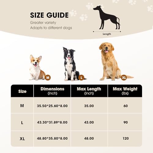 Czpalo Outdoor Elevated Dog Bed for Large Sized Dogs, No-Tool Assembly. | Raised design promotes airflow. Tool-free assembly, easy-to-clean mesh, portable, with anti-skid feet. Indoor/outdoor use. - Image 7