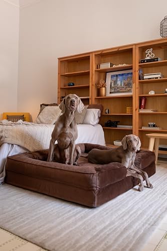 NOAH & PAW Giant Dog Bed XXL, 55x45x11 Inch, Orthopedic Dog Beds, Eggshell Memory Foam Infused with Cooling Gel, Inner Cover, Water Resistant, Machine Washable (Velvet Sofa Collection) - Image 4