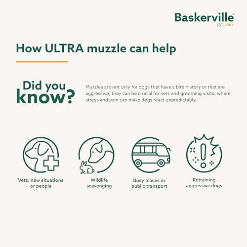 Baskerville Ultra Dog Muzzle worn by a large dog