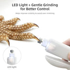 Quiet low speed electric reptile nail grinder being used on a small lizard