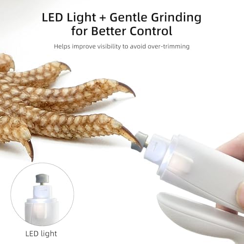 Quiet low speed electric reptile nail grinder being used on a small lizard