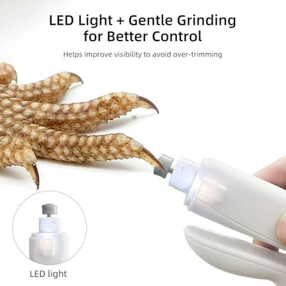 Quiet low speed electric reptile nail grinder being used on a small lizard