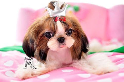 Durable metal alloy construction of Pet Show pet hair clips