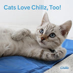 The Green Pet Shop Chillz Gel Mat Large angled view showing full thirty six by twenty inches surface area.