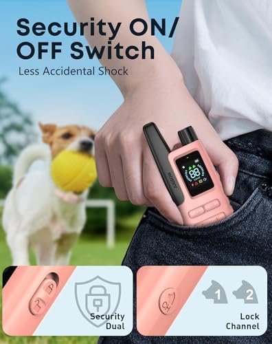 Dual channel remote control for training two dogs simultaneously close up