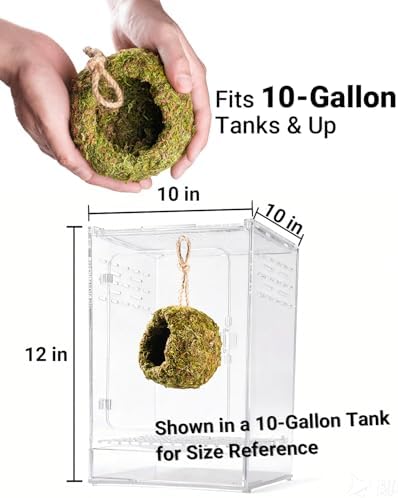 Handmade Crested Gecko Tank Accessories - Bearded Dragon Accessories, Reptile Hideout, Hermit Crab and Small Reptile Habitat 4.7x3.5x9in - Image 5