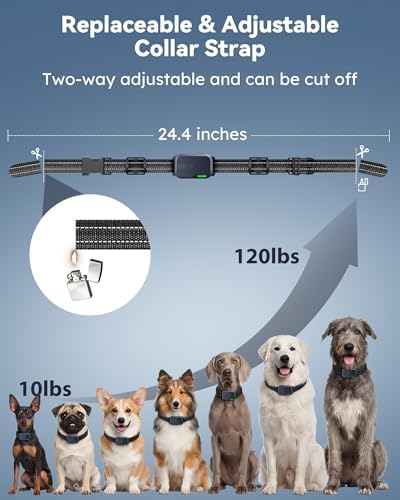 Jugbow dog training system package including long and short protective silicone covers