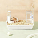 Premium imported silent exercise wheel pet supplies packaging contents display