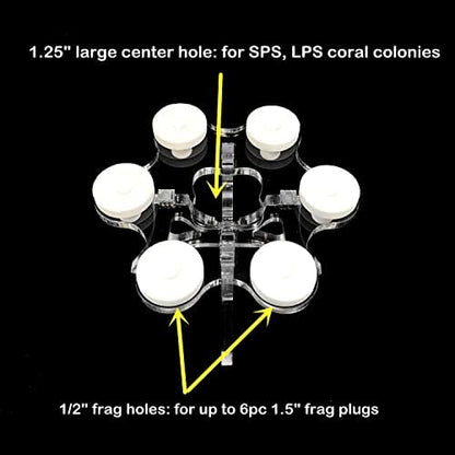 Reefing Art bottom substrate coral holder positioned in a marine reef tank displaying stability for live coral frags.