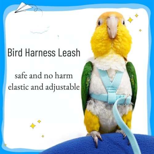 Lightweight metal chain and attachment ring detail on the bird leash