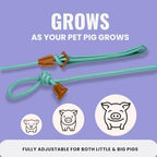 Small and medium pet pig harness with 9 foot leash