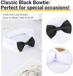 Side profile of extra large dog wearing Segarty tuxedo bowtie