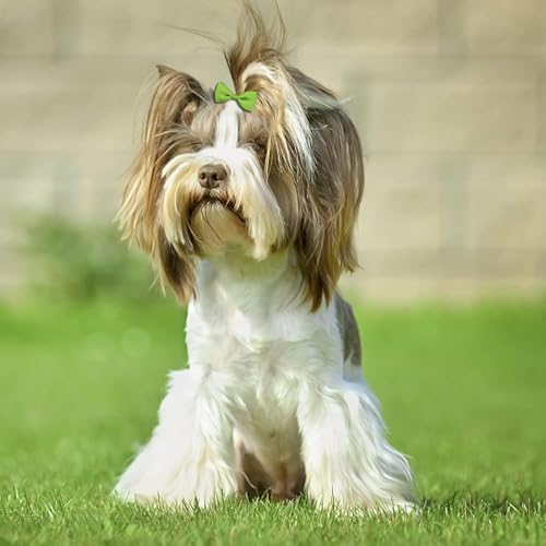 40 piece set of mini pet hair bows