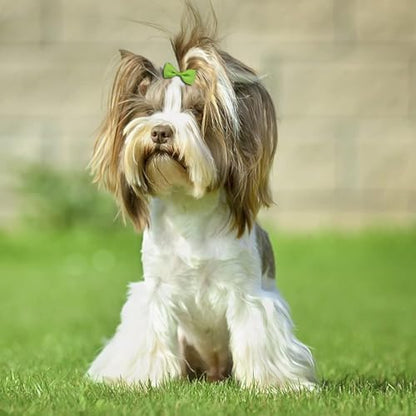 40 piece set of mini pet hair bows