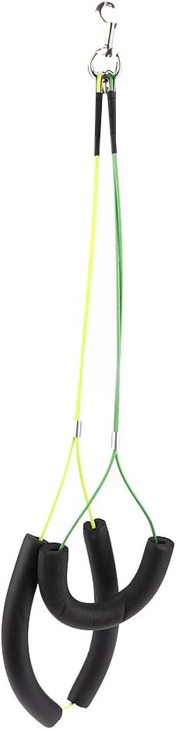 Adjustable restraint loop positioned for safe pet positioning