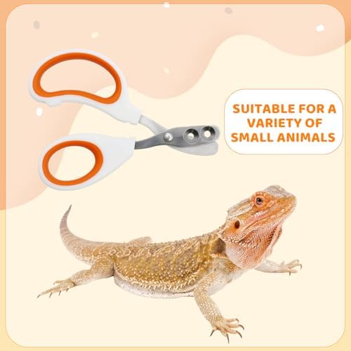 Premium stainless steel pet grooming clippers angled edge perspective